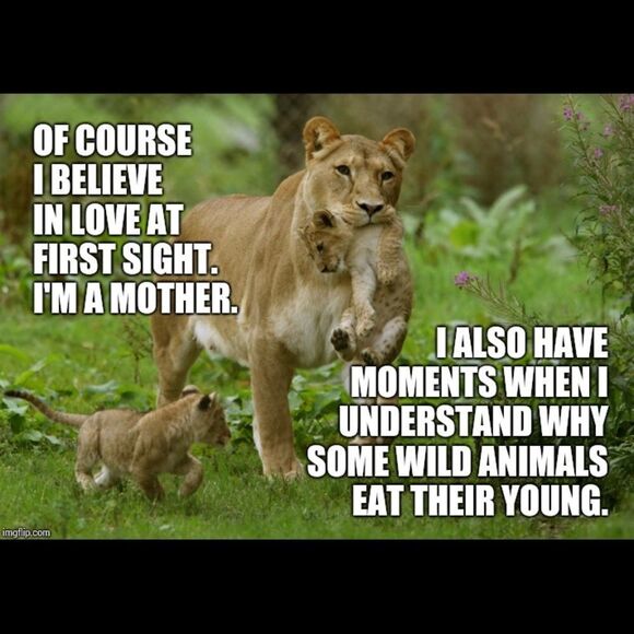 ISO Disney 50th Celebration McDonalds Toys For TRADE ONLY PFFS Girlsquad - Picture 9 of 15